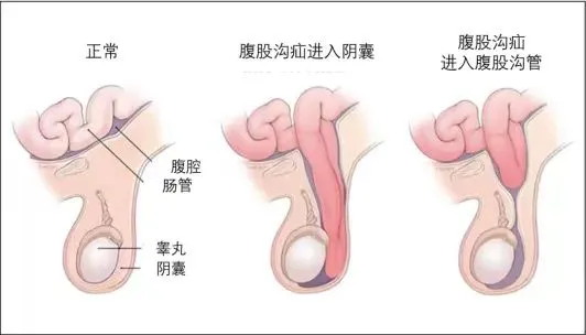 微信圖片_20240812101422.jpg
