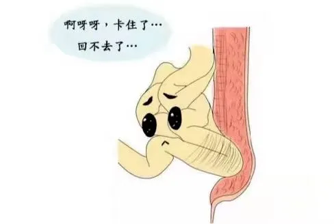 微信圖片_20240812101430.jpg