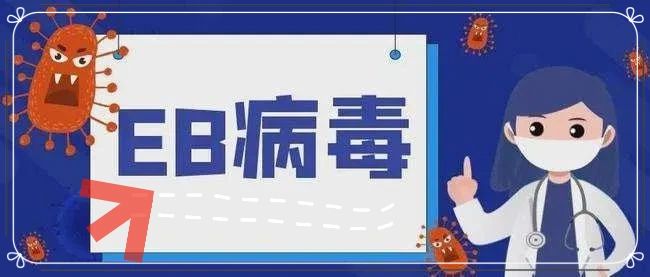 微信圖片_20240812104038.jpg