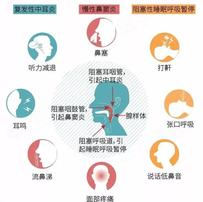微信圖片_20240716141847.jpg