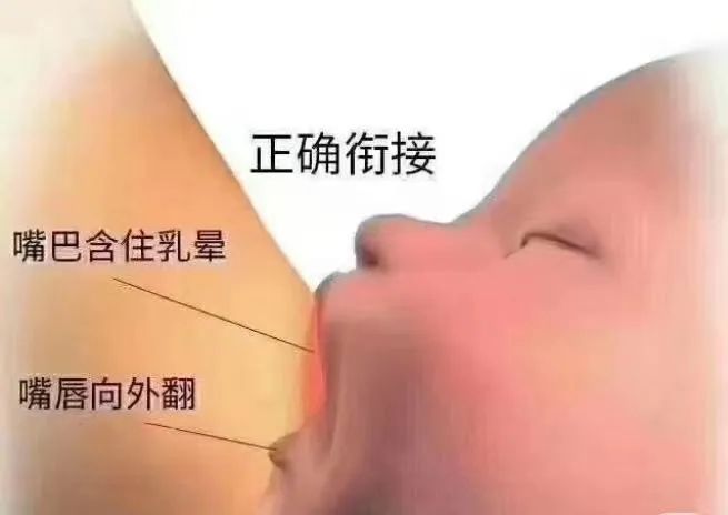 微信圖片_20240802162357.jpg