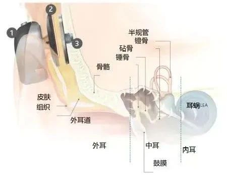 微信圖片_20240723163359.jpg