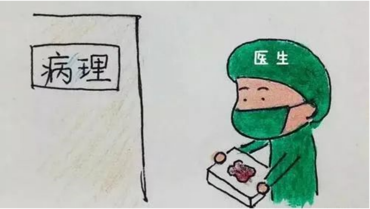 微信圖片_20240729164835.jpg
