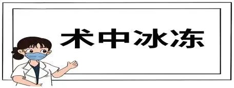 微信圖片_20240729164829.jpg